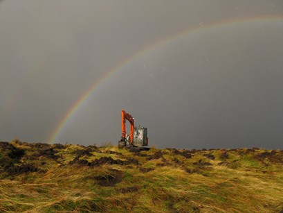 Ground preparation - mounding